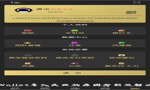 : TPWallet导入失败的原因分析及解决方案