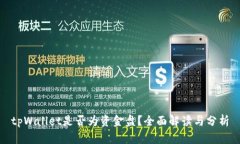 tpWallet是否为资金盘？全面解读与分析