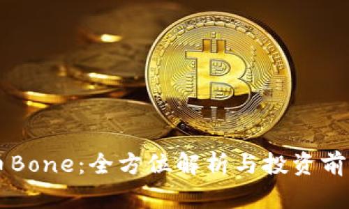 虚拟币Bone：全方位解析与投资前景分析