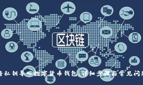 如何将私钥导入数字货币钱包:详细步骤与常见问题解答