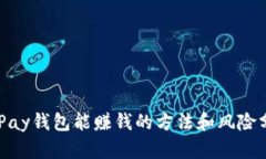 CGPay钱包能赚钱的方法和风险分析