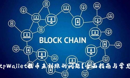 如何解决tpWallet提币未到账的问题?全面指南与常见问题解析