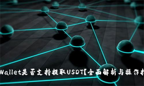 tpWallet是否支持提取USDT?全面解析与操作指南