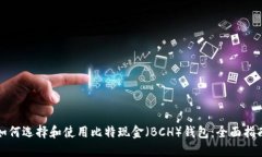 如何选择和使用比特现金（BCH）钱包：