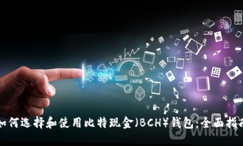 如何选择和使用比特现金(BCH)钱包:全面指南