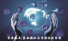   中本聪币：真相揭秘与传销误区分析