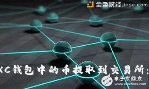 如何将CXC钱包中的币提取到交易所:完整指南