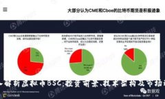 《深入解析虚拟币BSC：投资前景、技术