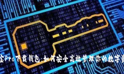 波宝Pro下载钱包:如何安全高效管理你的数字资产