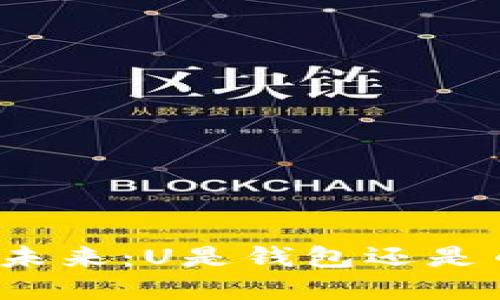思考
数字货币的未来:U是钱包还是币?深度解析