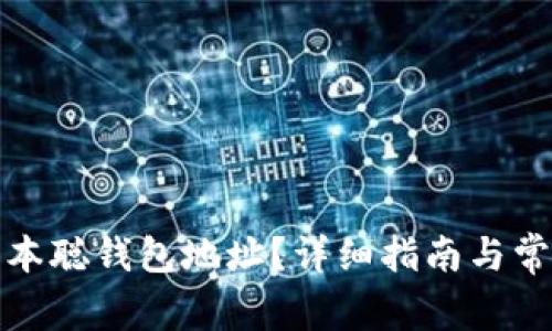 如何查找中本聪钱包地址?详细指南与常见问题解答
