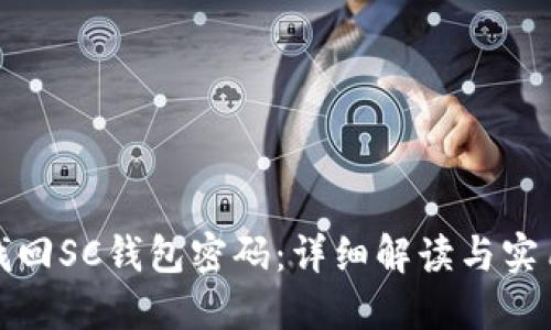 如何找回SC钱包密码:详细解读与实用技巧