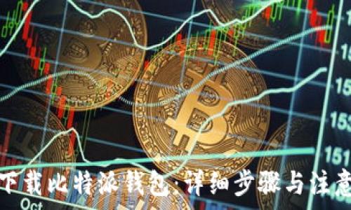 如何下载比特派钱包:详细步骤与注意事项