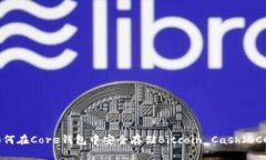 如何在Core钱包中安全存储Bitcoin Cash（