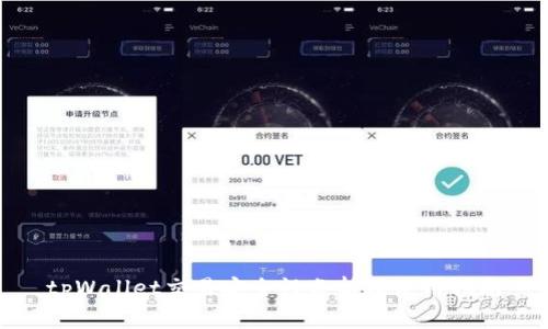 tpWallet交易安全性分析及使用指南