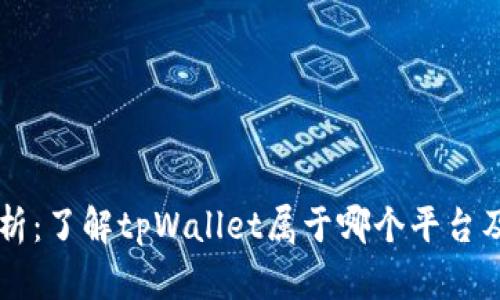 tpWallet解析：了解tpWallet属于哪个平台及其功能特点