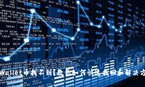 tpWallet币找不到?教你如何快速找回和解决方案
