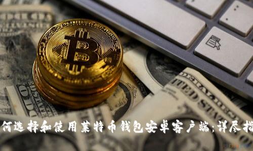 如何选择和使用莱特币钱包安卓客户端：详尽指南