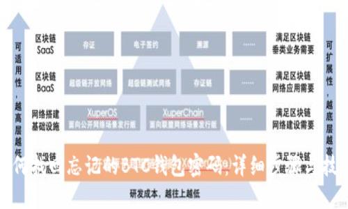 如何找回忘记的BTC钱包密码:详细步骤与技巧