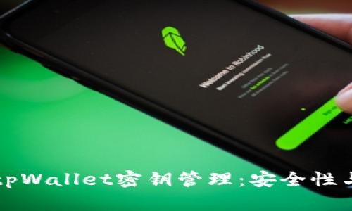 全面解析tpWallet密钥管理:安全性与使用指南