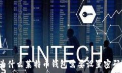   为什么莱特币钱包需要设置密码？