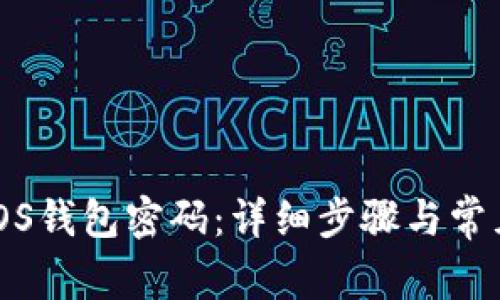 如何设置iOS钱包密码:详细步骤与常见问题解答