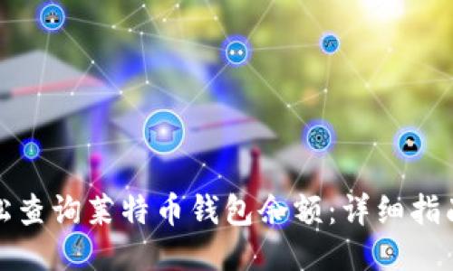 如何轻松查询莱特币钱包余额:详细指南与技巧