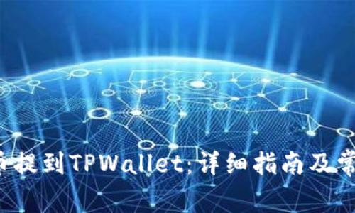 如何将FIL币提到TPWallet:详细指南及常见问题解析