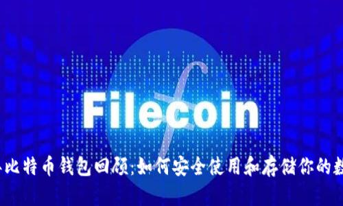 2010年比特币钱包回顾:如何安全使用和存储你的数字资产