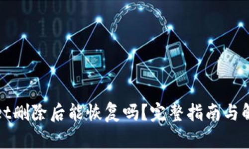 tpWallet删除后能恢复吗?完整指南与解决方案