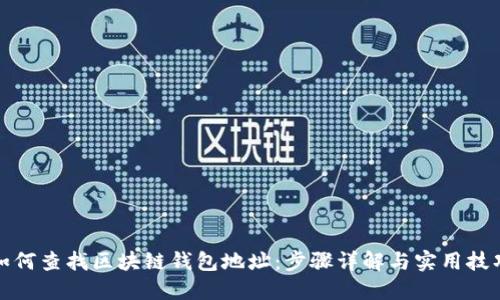 如何查找区块链钱包地址:步骤详解与实用技巧
