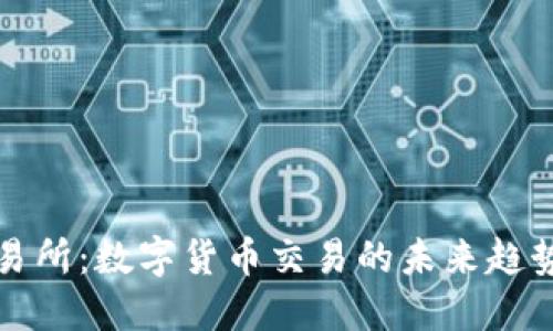 VV币交易所：数字货币交易的未来趋势与发展