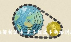 全面解析派币：新手到高手的培训教程