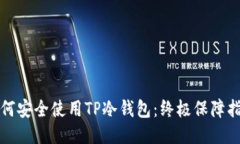 如何安全使用TP冷钱包：终极保障指南