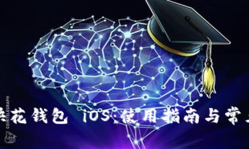 全面解析快花钱包 iOS:使用指南与常见问题解答