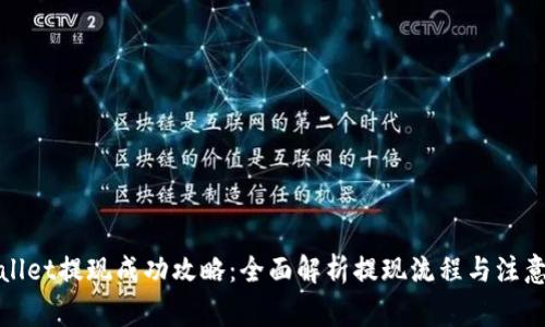 tpWallet提现成功攻略:全面解析提现流程与注意事项
