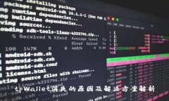 tpWallet消失的原因及解决方案解析