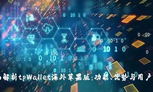全面解析tpWallet海外苹果版:功能、优势与用户指南