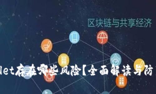 tpWallet存在哪些风险?全面解读与防范措施