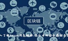 深入了解Beam钱包地址：隐私币的安全
