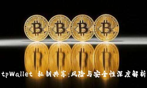 tpWallet 私钥共享:风险与安全性深度解析