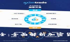 虚拟币网站大全：全面解析加密货币平