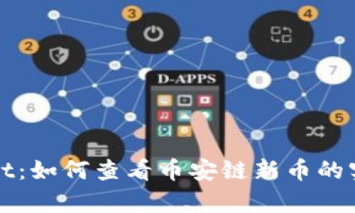 tpWallet：如何查看币安链新币的实用指南