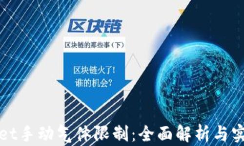tpWallet手动气体限制:全面解析与实用指南