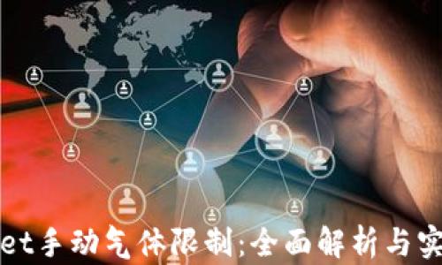 tpWallet手动气体限制:全面解析与实用指南