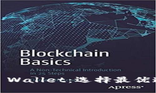 USDT转账到TP Wallet:选择最优通道的详细指南