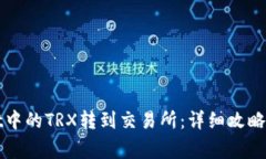 如何将tpWallet中的TRX转到交易所：详细