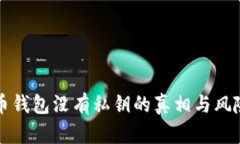 比特币钱包没有私钥的真相与风险分析