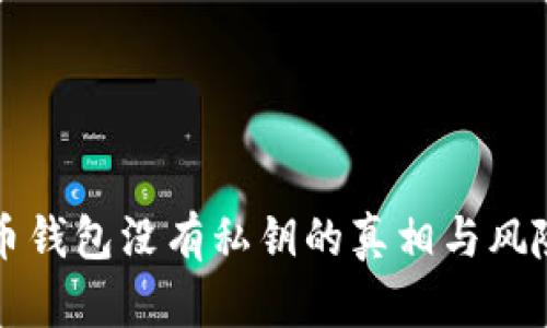 比特币钱包没有私钥的真相与风险分析