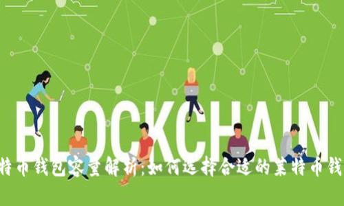 莱特币钱包容量解析:如何选择合适的莱特币钱包?